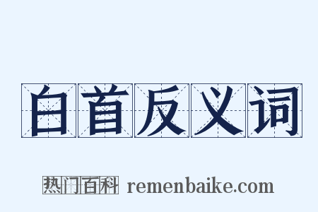 白首反义词是什么意思的图片